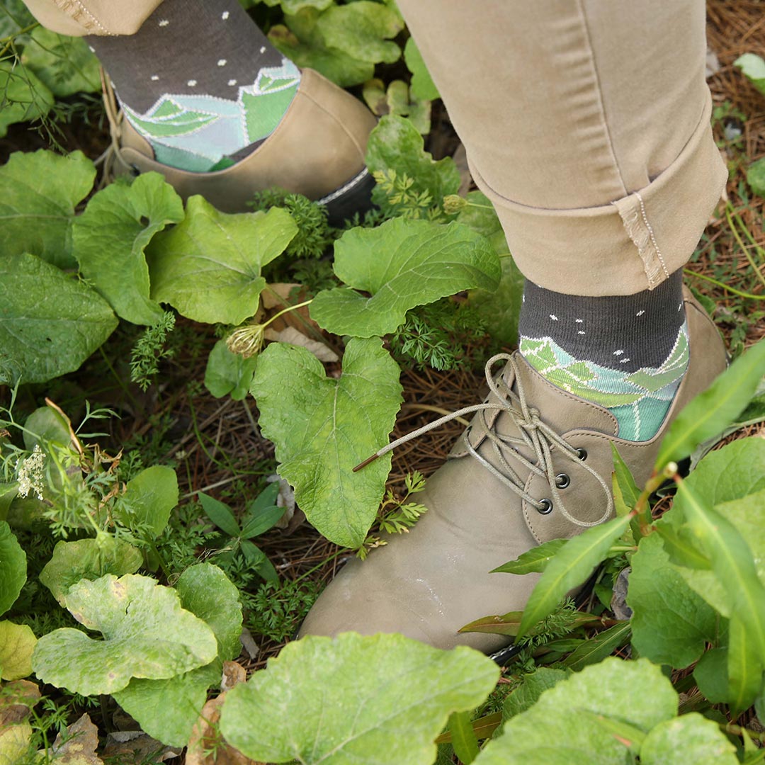 The boldSOCKS team tweet media