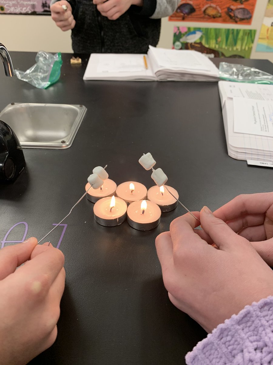 Melissa Foster tweet media