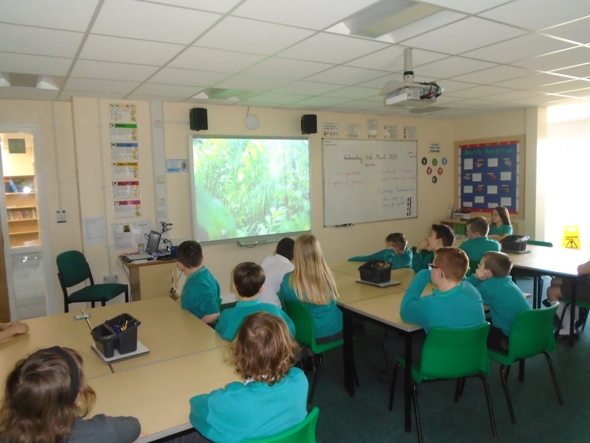 ClaveringTS27's tweet image. #5RT  Yesterday, as part of #FairtradeFortnight, the Year 5 pupils started the day by watching the #GolaRainforest video. They learnt a lot!
@FairtradeUKEd
@FairtradeUKNews 
@hpoolfairtrade