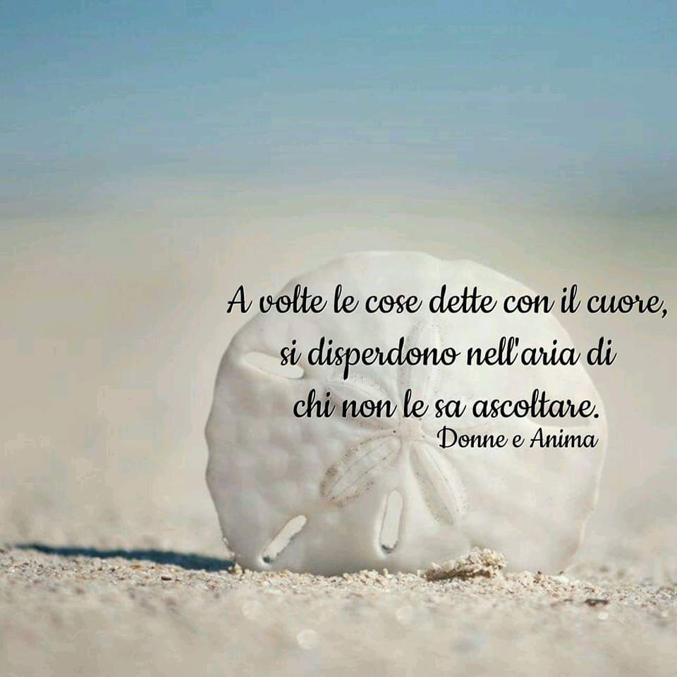 g_borr's tweet photo. #5marzo #buonaserata #sognid'oro #colcuore #frasidellanotte #determinata #beutiful #speranzosa #positiva #coraggiosa #tenera #sorridente #sognatrice #combattiva #comevadavadasemprecolsorriso #guerriera #barcollomanonmollo #forte #motivata #maistanca https://t.co/HStE4AywcP