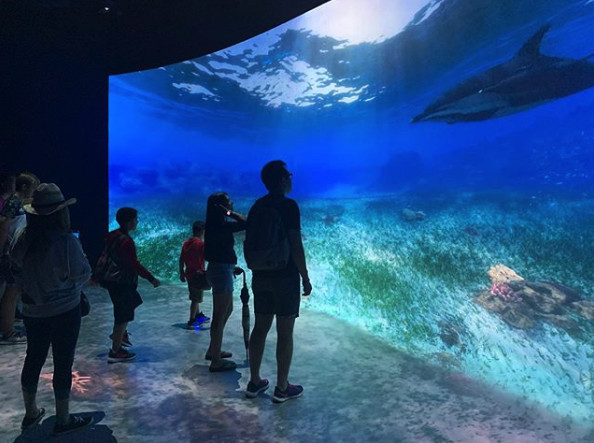 HotelAtTimesSq's tweet photo. Come experience the ocean without ever getting wet! The @natgeoencounter is perfect for the whole family! Grab your tickets now!
https://t.co/7uflLg6mXT

📷:@jdartrosales https://t.co/x3pRiv66sn