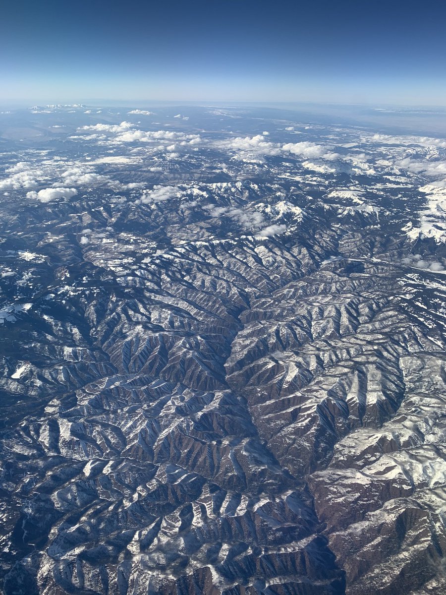 lorp lorraine tweet media