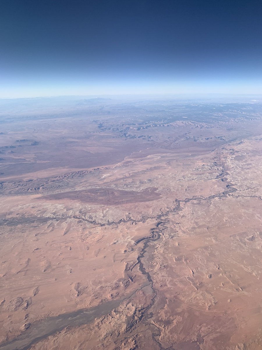 lorp lorraine tweet media