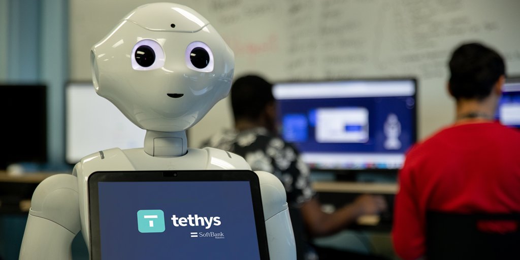 Image result for pepper robot and tethys