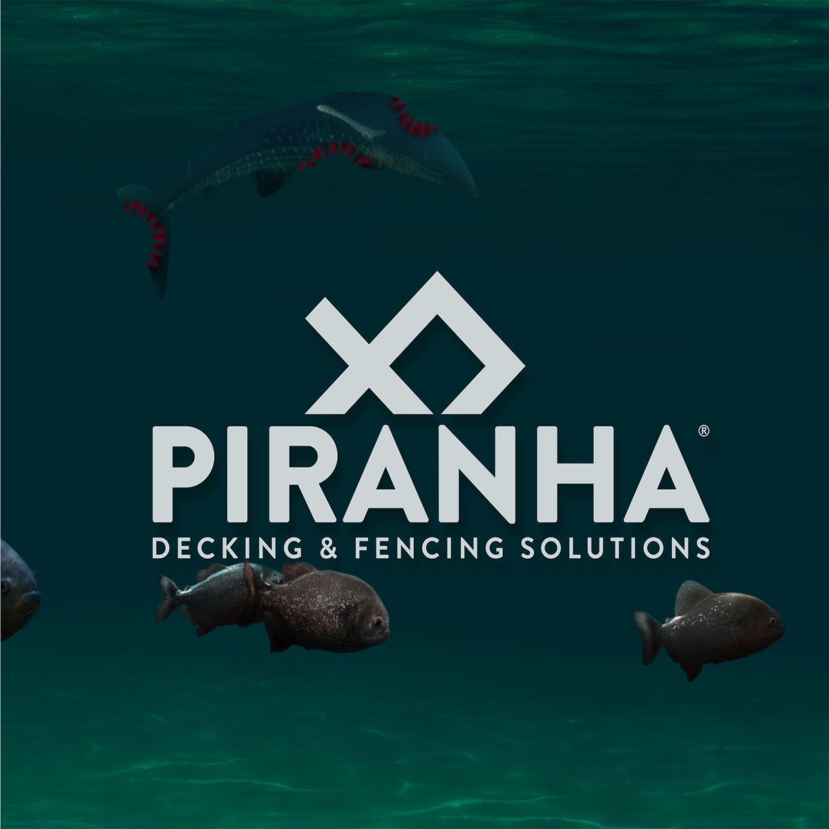 TalaseyLtd's tweet photo. Don’t be fooled by the floaters, there’s plenty more fish in the sea. #biteme https://t.co/VtaEdnZiaq