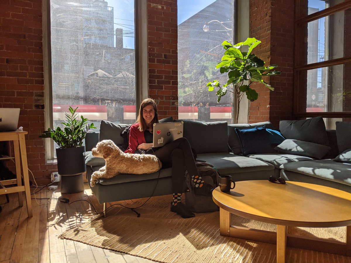 devhubTO's tweet photo. Our head of nap time, Sherman, hard at work, soaking up those rays ππ #dogsofdevhub https://t.co/qmejm9xU5r