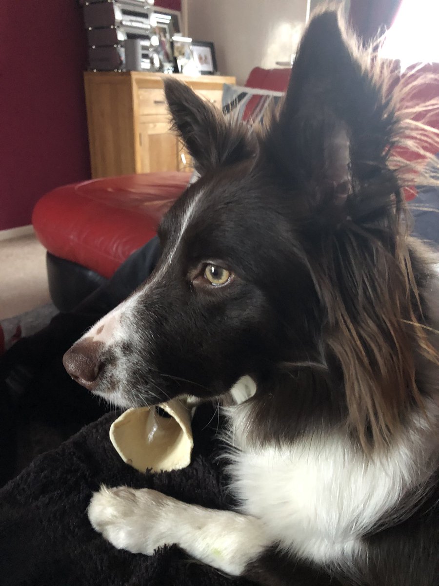 macleanchelle's tweet photo. @JohnNewmanMusic @JohnNewmanWFans Iโm a Community Carer. Help people stay independently at hame. With some assistance.Iโm very grateful & Lucky cos #Family #Friends my #Boyfriend some #WorkMates I #LoveHelping #Supporting #WorkingAsATeam I like tae be there for everyone #LoveMyJob Most of all my world Mystique๐ https://t.co/c8xsusAyys