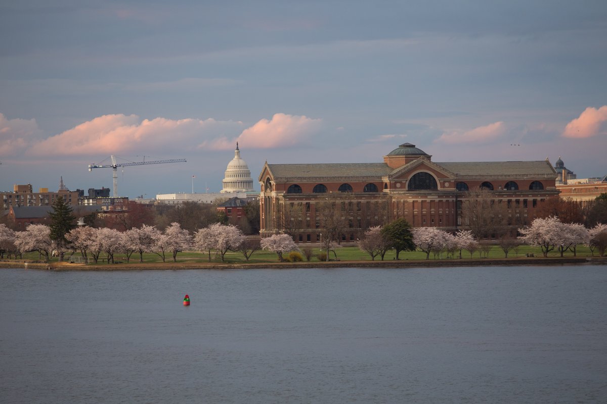 Odyssey Cruises by Hornblower tweet media