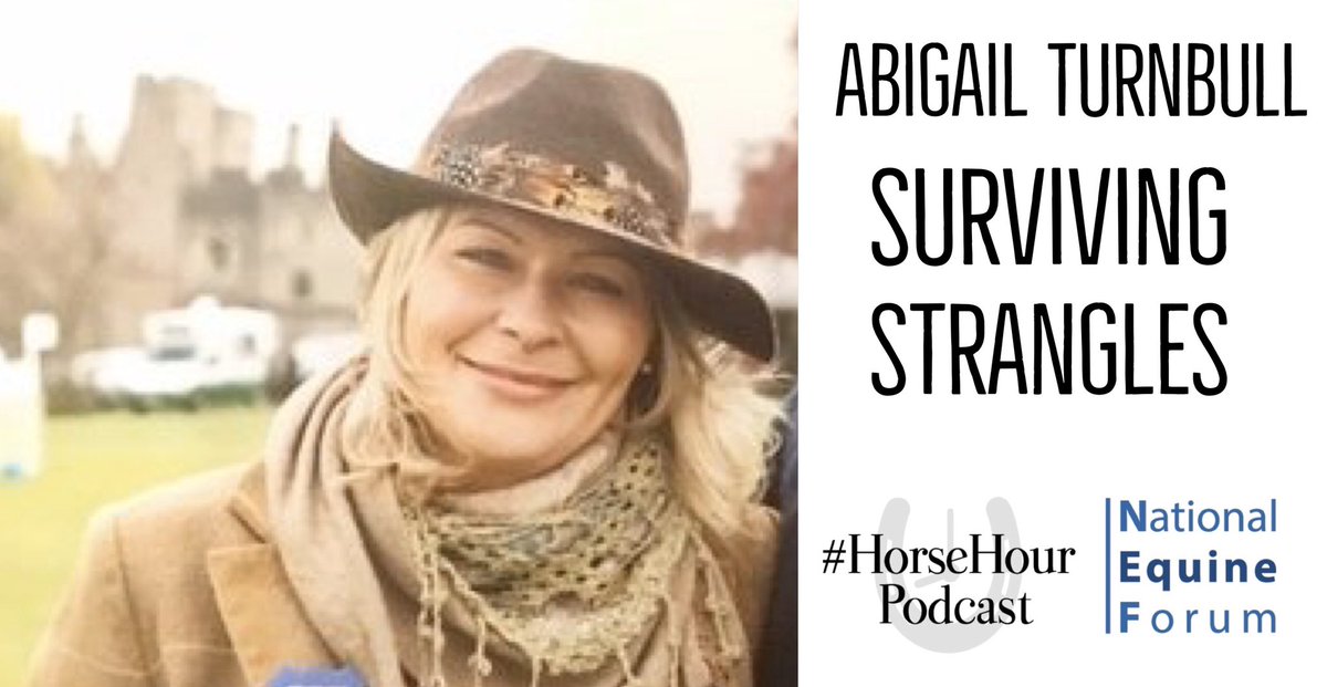 #HorseHour tweet media