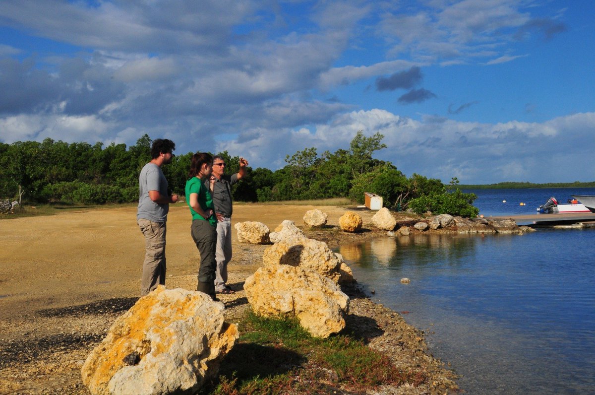 TROPIMUNDO's tweet photo. Our @TROPIMUNDO student @babou_meyers reports from her #tropical #biodiversity semester at @UnivAntilles how together with her fellow #TROPIMUNDO and #BEVT students they are discovering terrestrial and marine habitats in the insular ecological context of the Caribbean. https://t.co/JGPqw8pLFF