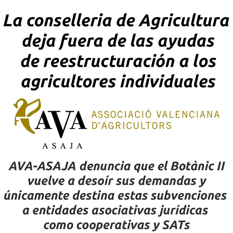 hosteleriaenvlc's tweet photo. LA CONSELLERIA DE AGRICULTURA DEJA FUERA DE LAS AYUDAS DE REESTRUCTURACIÓN A LOS AGRICULTORES INDIVIDUALES
https://t.co/f3dXnnXfrO
@ava_asaja #AVAASAJA #HosteleriaEnValencia #AyudasReestructuracion #AgricultoresIndividuales #BotanicII #Cooperativas #SATs #Subvenciones #PDRCV https://t.co/U7surE6zgC