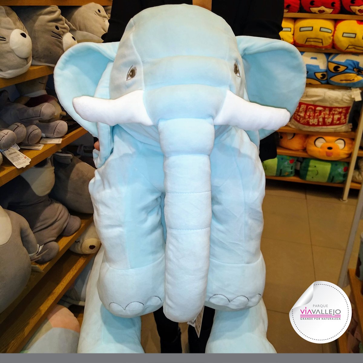 elefante miniso