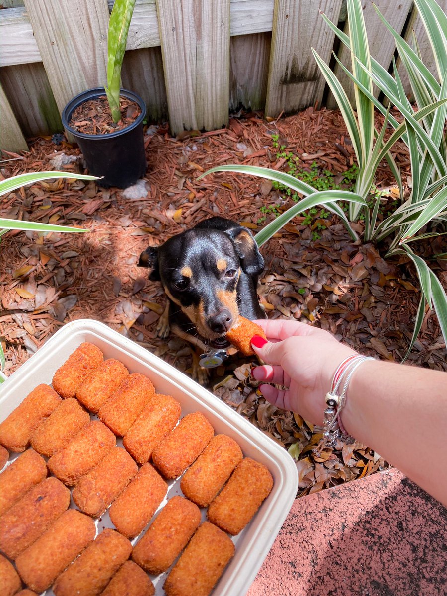 A comer croquetas de <a href="/pinecrestbakery/">Pinecrest Bakery</a> because it's #305Day !! *insert <a href="/pitbull/">Pitbull</a> voice* DALE. 🕺