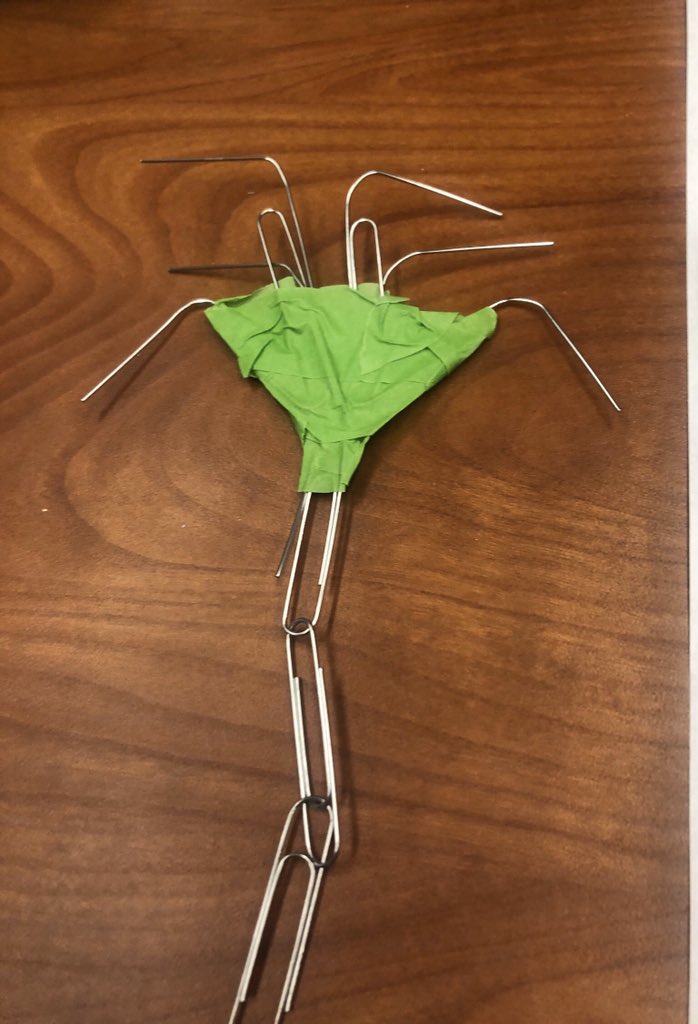library_pizzazz's tweet photo. My wish for all of my students is to ❤️ learning in our school. Make a wish on this Wishtree! #TeachSC @SCASLNet #stemsteam @kaaauthor @chpinckneyelem https://t.co/BaIlp53FNS