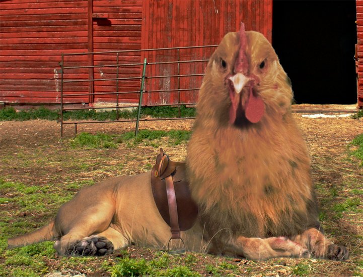 modus (@m0dus_) on Twitter photo 