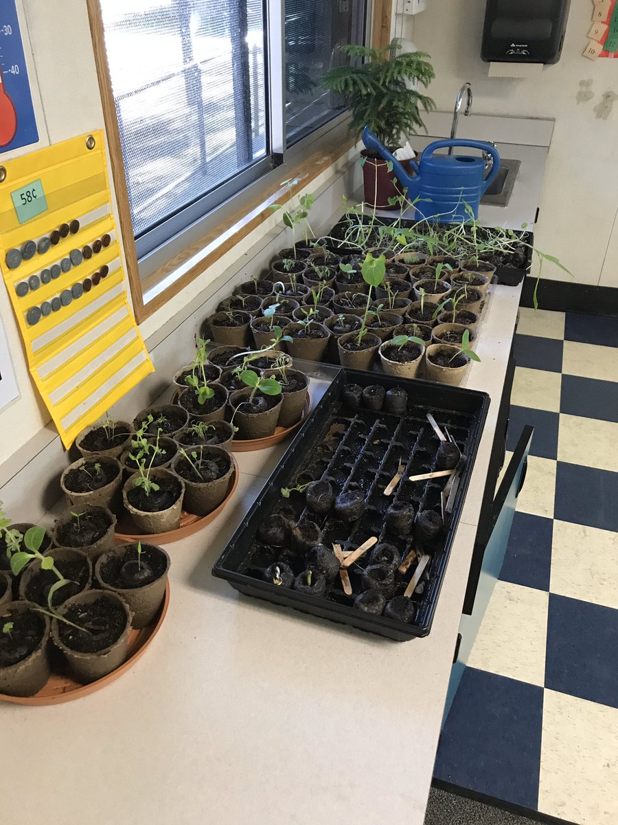 Mrs.Little’s class &amp; Sierra View Elementary School are getting ready for Spring! <a href="/TwinRiversUSD/">Twin Rivers Unified</a>
