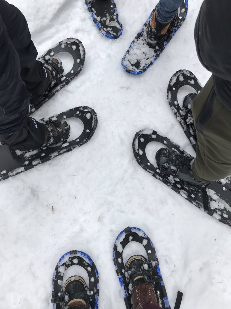 MsJKirton's tweet photo. Enjoying the last bits of winter with @HillcrestHS OE and #SHSM students in @NCC_GatPark #experientiallearning https://t.co/W2QKXsrOPK