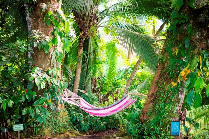 Rest in the middle of a tropical paradise, away from pollution, noise.  You deserve that and more ... Visit us and enjoy the beauties that nature has given us 🥰🌳😍
Proud member of <a href="/EnchantingCR/">Enchanting Hotels</a> ✨
.
.
.
#costarica #puravida #paradise #awesome #green #enjoy #happy #beautyful