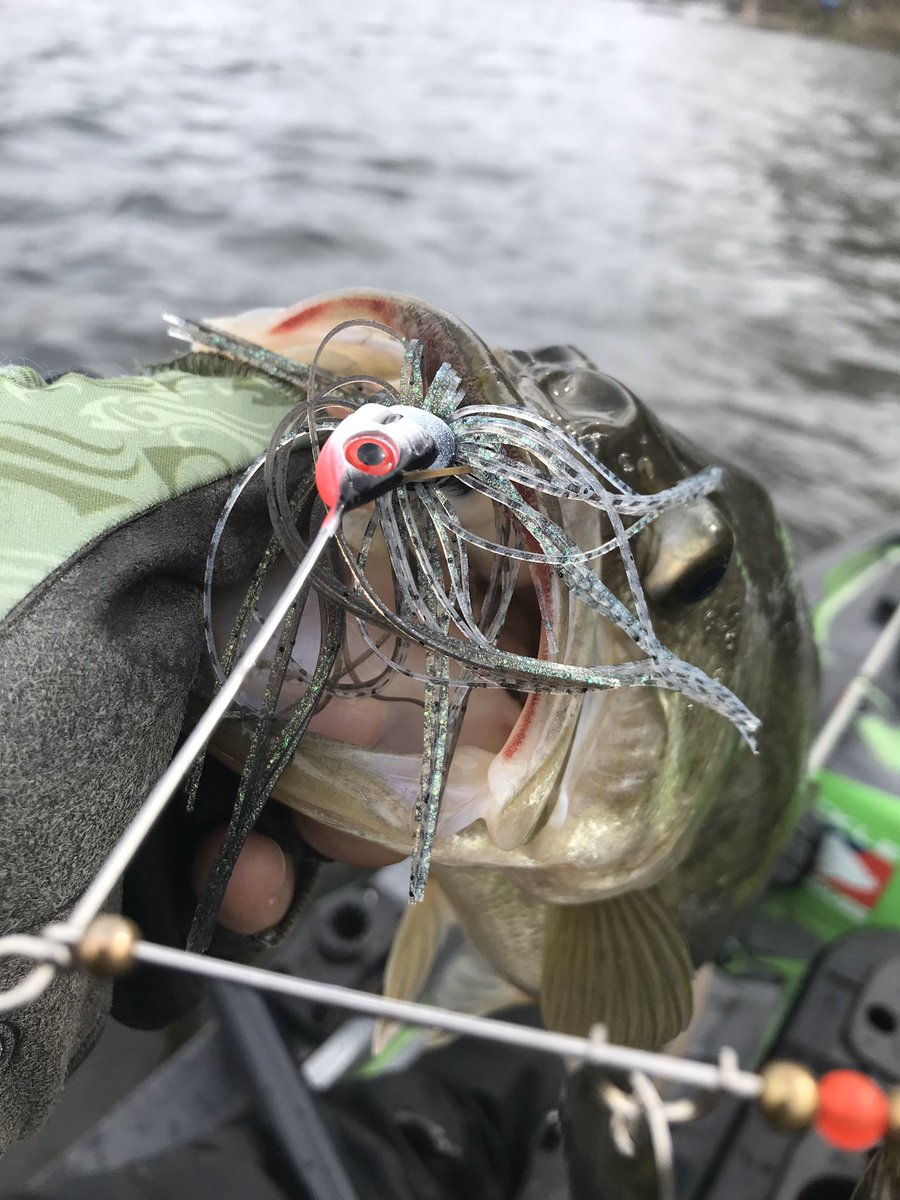 MegaStrike Spinnerbaits are awesome for the spring bite!!!!