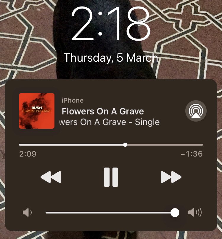 #bush <a href="/bushofficial/">BUSH</a> #flowersonagrave <a href="/GavinRossdale/">GAVIN ROSSDALE</a> ❤️ #loveit