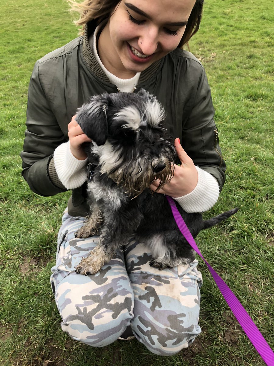 Tomandtoto's tweet photo. Rosa the Miniature Schnauzer definitely stole the show at another successful #Wellbeing #dogwalk for #UniversityMentalHealthDay @uniofeastanglia 🐾 https://t.co/yc3rU9wNko