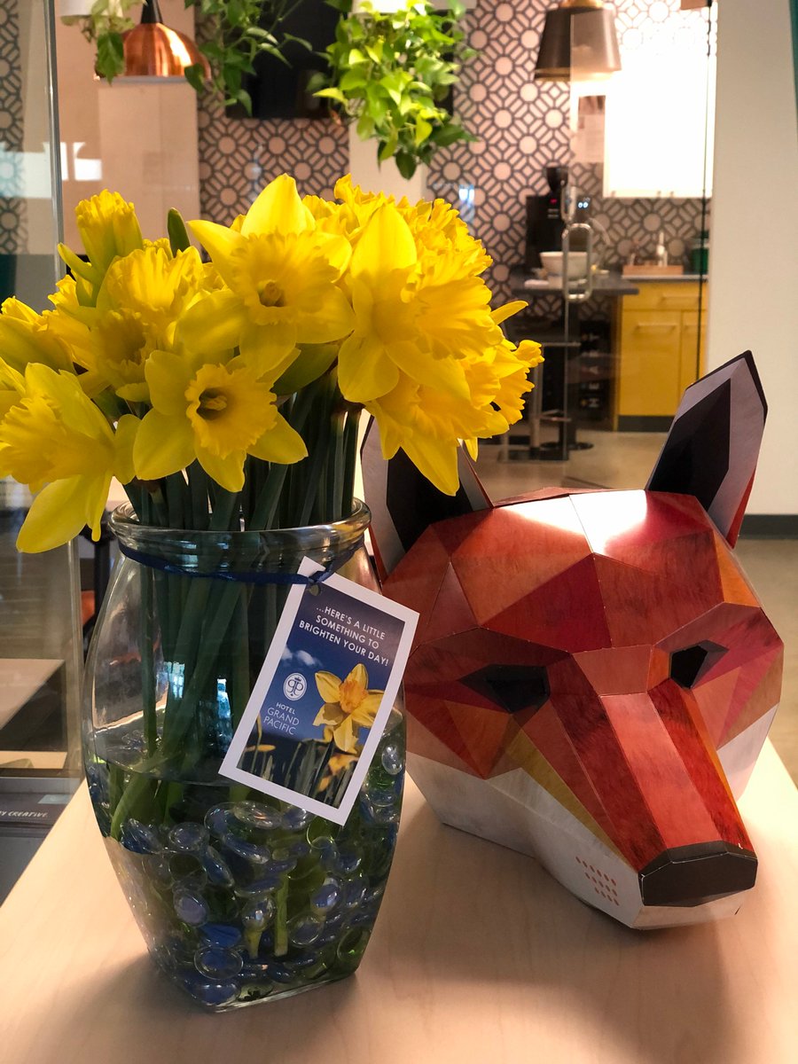 functionfox's tweet image. SPRING HAS SPRUNG! Thanks to Hotel Grand Pacific for brightening our day with fresh daffodils. Thanks Allan. Our team stayed @grandpacific and it was fabulous!  hotelgrandpacific.com #HighlyRecommended #SpringHasArrived #hotelgrand #foxflowers