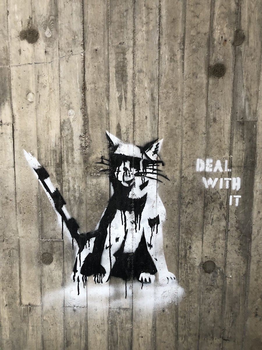 LauraVarja's tweet image. Day 7/7 of my life in pictures. Rules: no words, no people. Nominate someone new each day. I was nominated by @Katiihamaki &amp;amp; @maria_mroue ❤️ I will nominate @VarpuGoos 😘