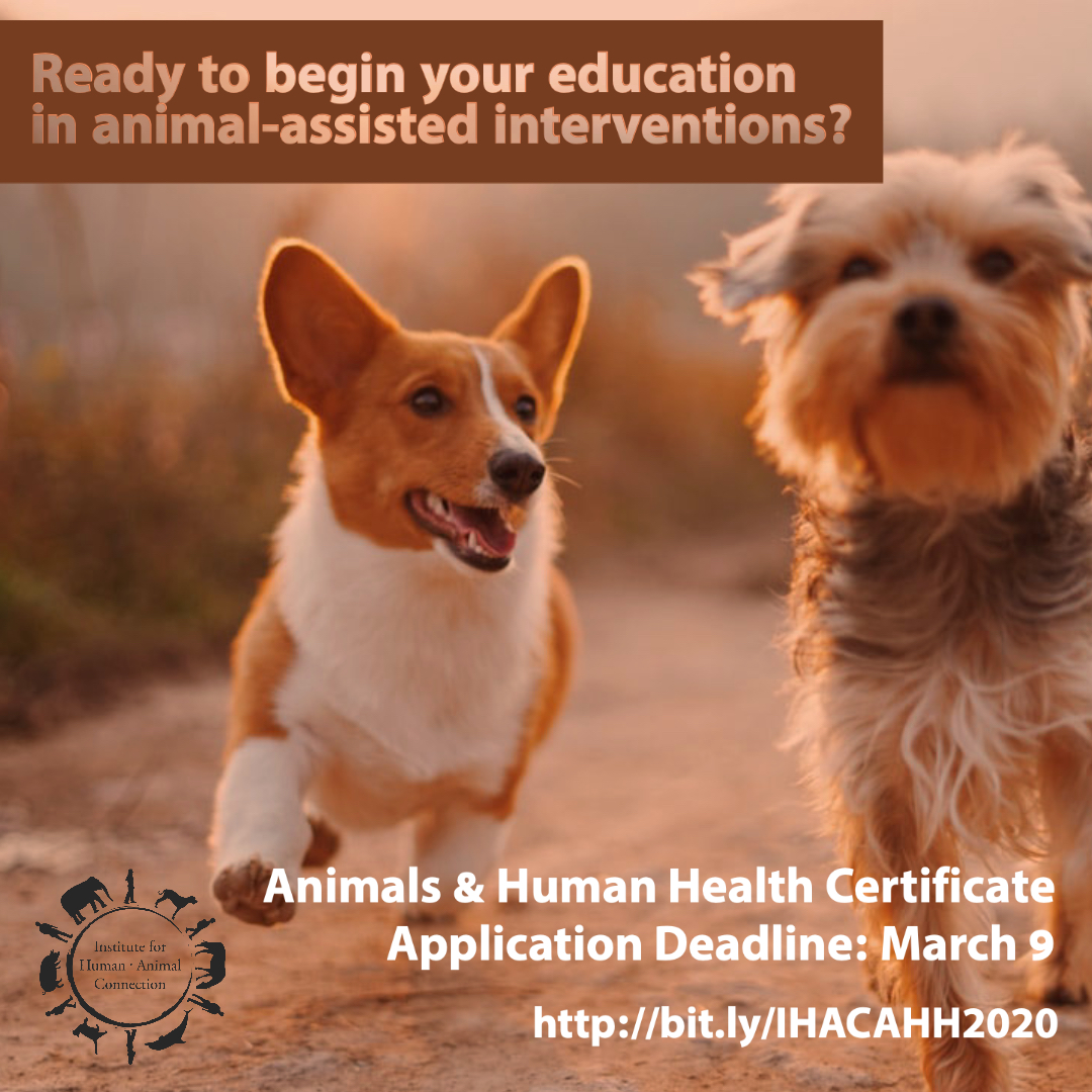 There are still a few spots available in the upcoming cohort of Animals and Human Health! Learn more and apply apply by Monday 3/9!  bit.ly/IHACAHH2020
#professionaldevelopment