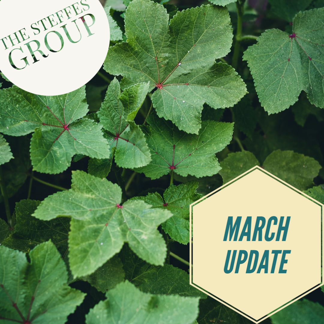 Spring Is Right Around The Corner! - mailchi.mp/087701a360a3/s…