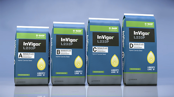 HorizonFert's tweet photo. As seed shipments to farm begin, we want to remind customers that all Invigor Seed will be packaged by #InvigorRATE & be sorted according to seed size. Each bag will seed ~10acres no matter the seed size. If you've questions, feel free to call or drop by! #WeServiceWhatWeSell https://t.co/j66u1s6JJU