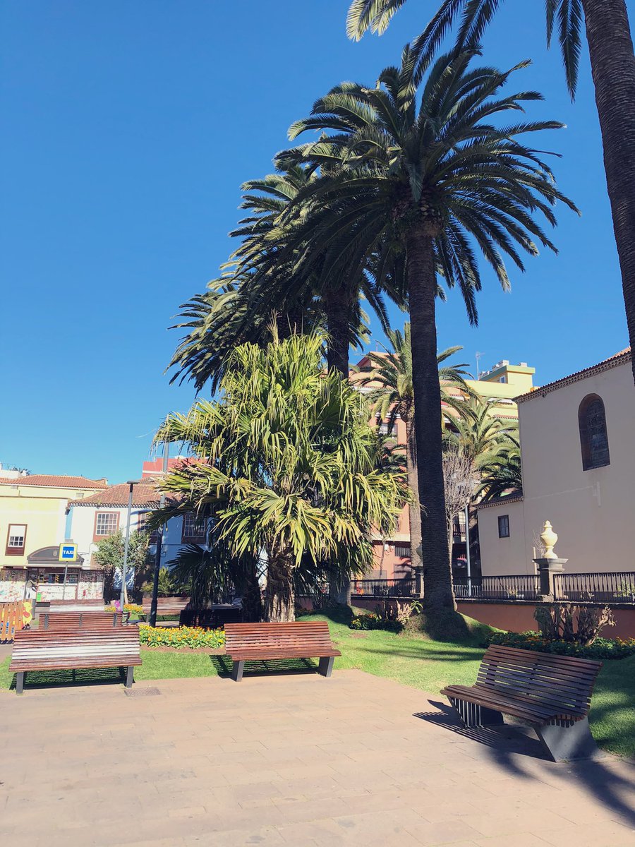 Semana viajera en MONOBO... a quien adivine los destinos de nuestro equipo ¡le invitamos a una hamburguesa!