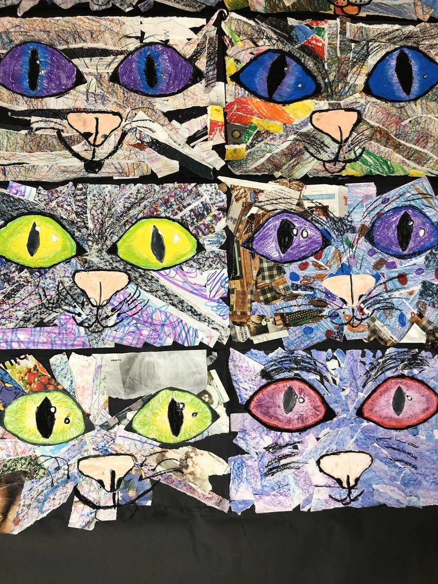 jim_les4's tweet photo. Beautiful cat collages by 4th grade #BlueBonnetLions #Lockhartisd #LoveMyLisd #BbeMasterBuilders https://t.co/rYV2t7U8M3