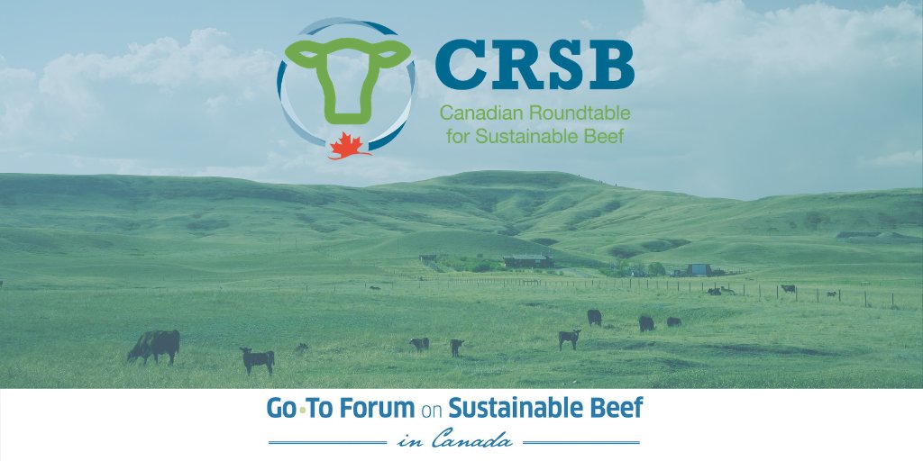 CRSB_beef's tweet photo. Check out the latest CRSB Insider for all the latest #cdnbeef #sustainability news https://t.co/bCeiIAu0cT Keywords: #sustainabilitystrategy #ChopSteakhouse #JBSCanada #sustainabilityprojects https://t.co/PCY6eR5Dxg