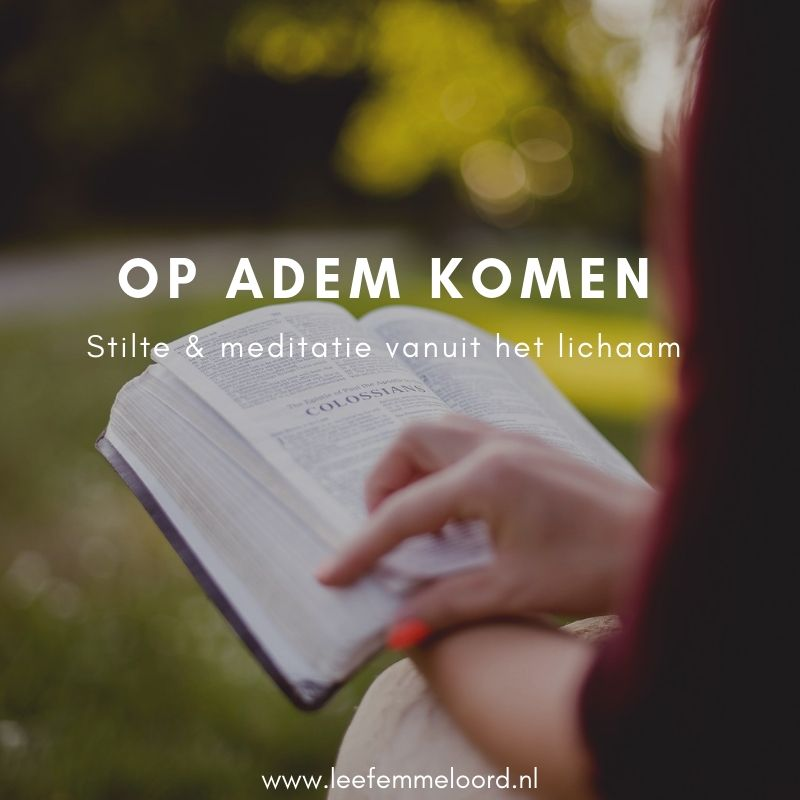 ContemplatioNL's tweet image. Ook in Emmeloord kun je terecht als je nader wilt kennis maken met lectio divina in 40dagentijd. Op maandag 16 maart heb je twee kansen! Kijk hier voor meer informatie: leefemmeloord.nl/op-adem-komen/