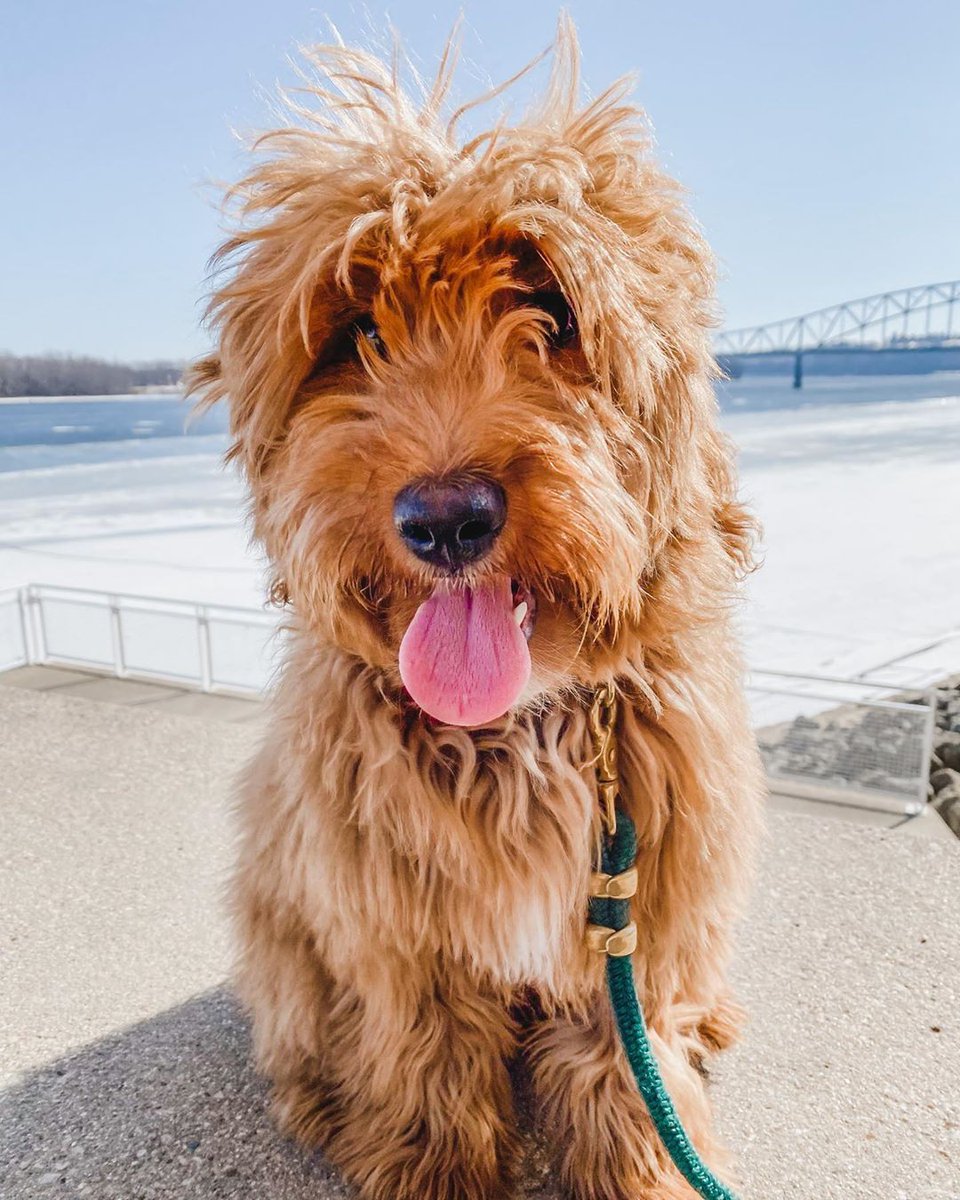 Travel Dubuque tweet media