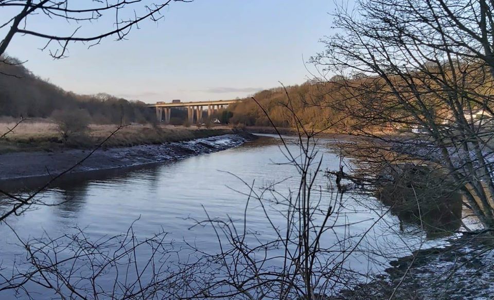 Strollswithpole's tweet photo. On 15th March we have a 10 mile figure-of-eight walk, along the River Wear Trail. This trail has paths on both sides of the river and we will use both sides.
#strollswithpoles #nordicwalking #NNTA #nordicnuts #BritNW
https://t.co/hhZhQty5Q6 https://t.co/XG8HcSezJk