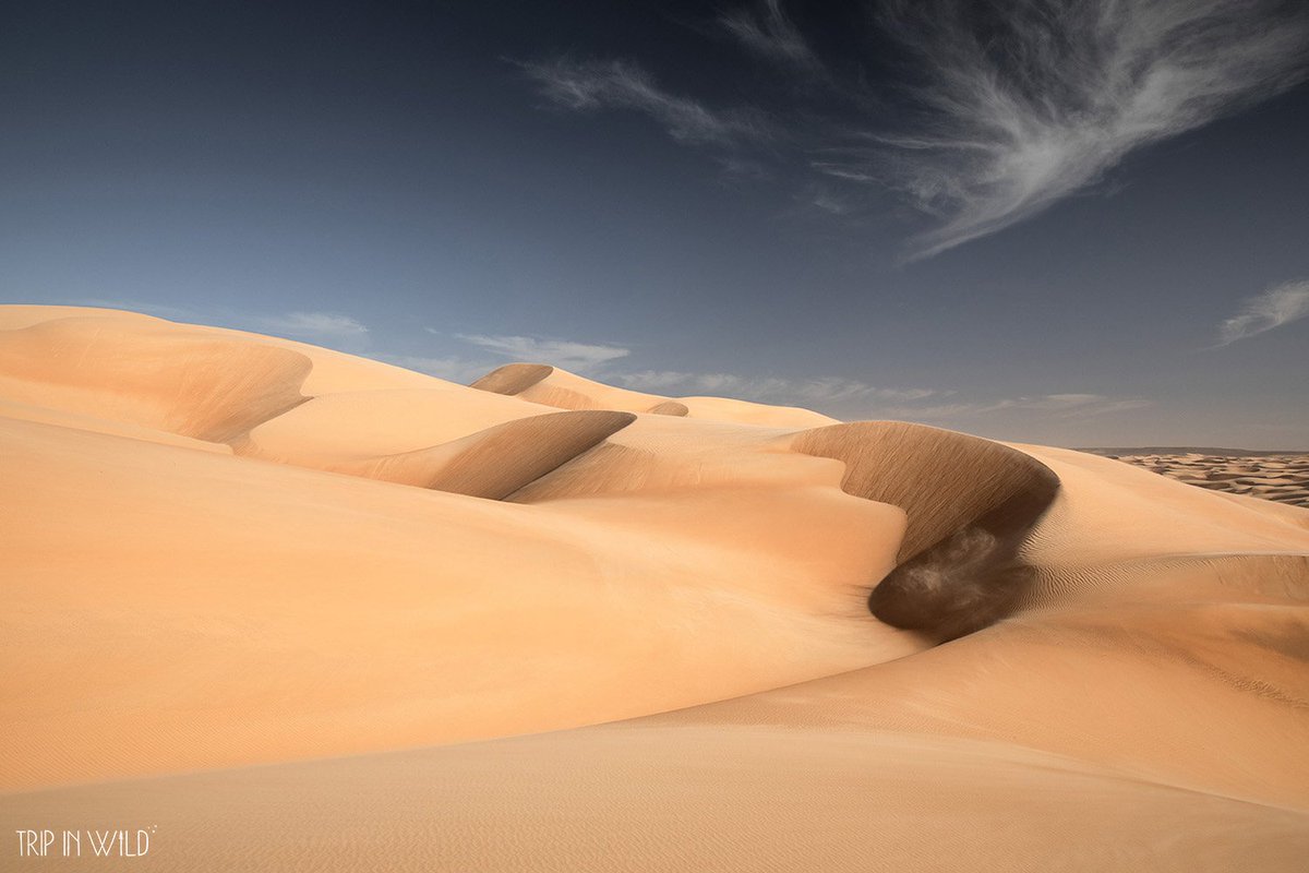 5 jours de marche dans ces paysages... 💛 Quand la Mauritanie devient un coup de cœur !
Notre récit est à lire sur le blog >> tripinwild.fr/mauritanie-tre…