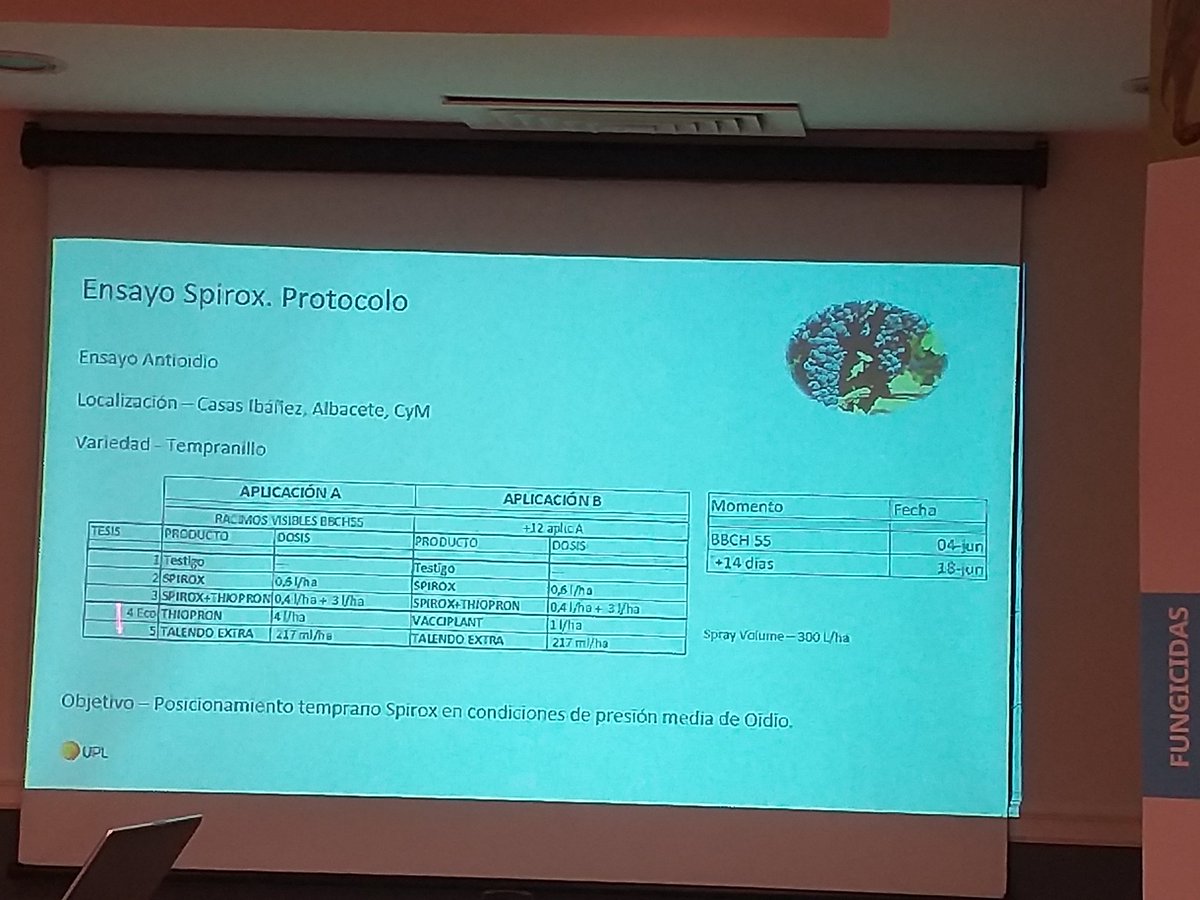 eComercioAgr's tweet photo. Otro de los ensayos fue en #Albacete para estudiar los resultados de #Spirox
#viñaupl2020 @UPL_Iberia #viña #viñedo #vid #viticultura https://t.co/gCkvk2JLpX