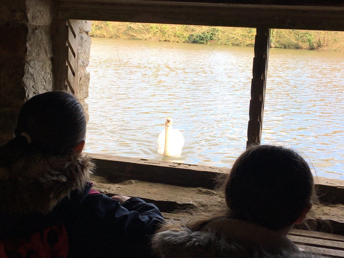 gladstonebarry's tweet photo. What a lovely afternoon with the Limpets...exploring the Stackpole estate #Stackpole2020 https://t.co/jB6P7g3hZU