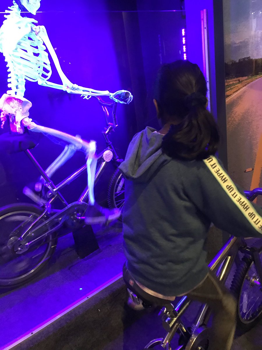 MsJones6thGrade's tweet photo. Such a fun field trip to the Health Museum. We got to do so many interactive things. @MJEjags #mjejags https://t.co/qNY8lthuTP