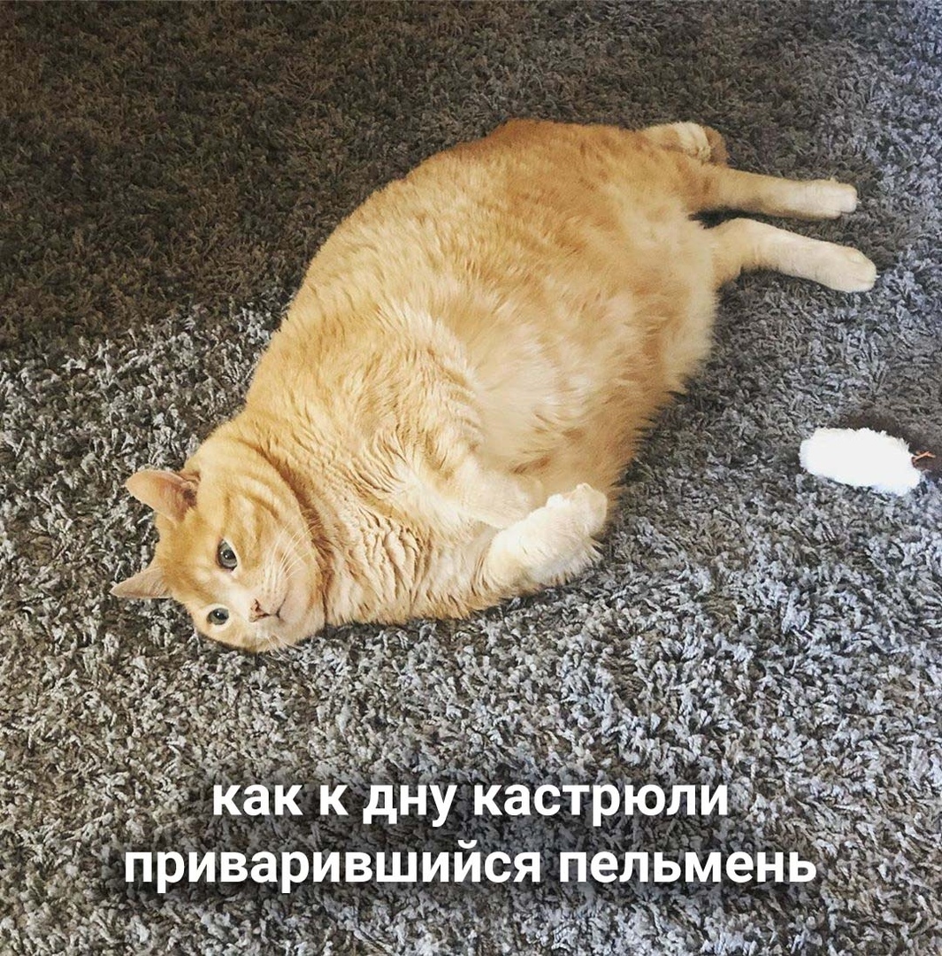 drunktwi's tweet photo. Mинyткa пpoкpacтинациoнной пoэзии https://t.co/l2lKSIDFg9