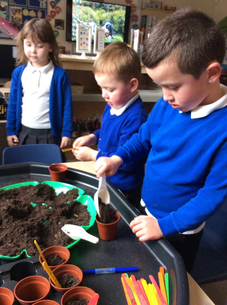 Highgateacademy's tweet photo. As part of our Science learning this week, we have planted our own sunflowers. I wonder how tall they will grow...🌻🌻🌻#ClassSS #scienceinaction https://t.co/enRUyyY5Mg