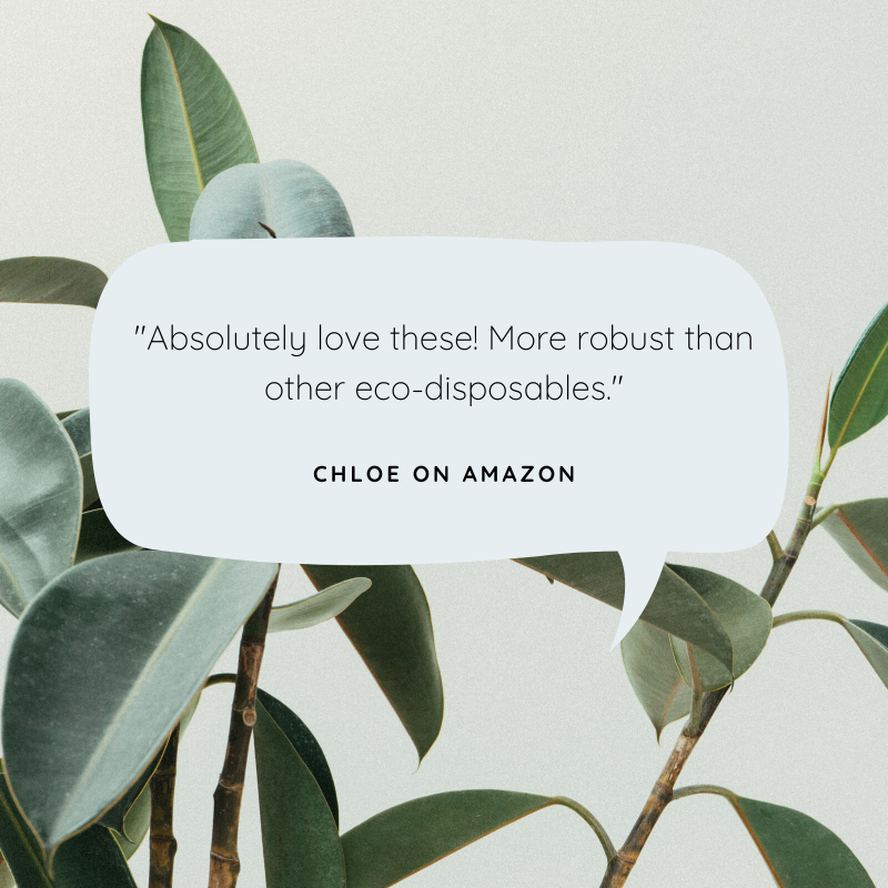 pandabode's tweet image. A review on our biodegradable bamboo cutlery set 🤩 Thank you for your kind words Chloe! 

#WednesdayMotivation #ecofriendly