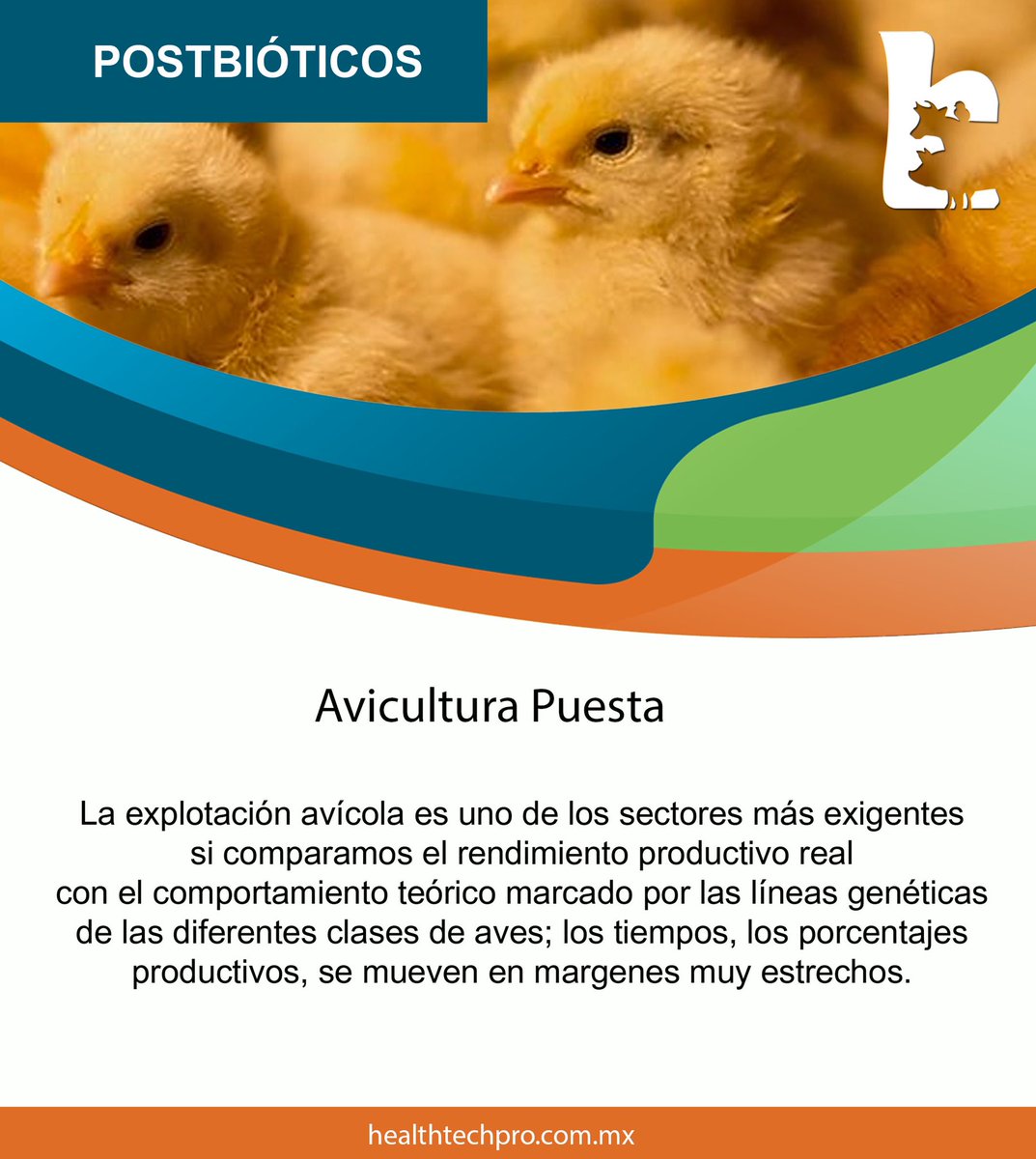 HealthTechPro1's tweet image. Te brindamos la asesoría y los productos para aumentar la productividad en tu granja avícola.
#healthtechpromx 
#postbioticos