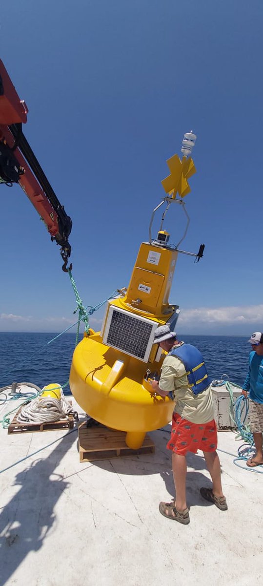 MIO CIMAR UCR tweet media