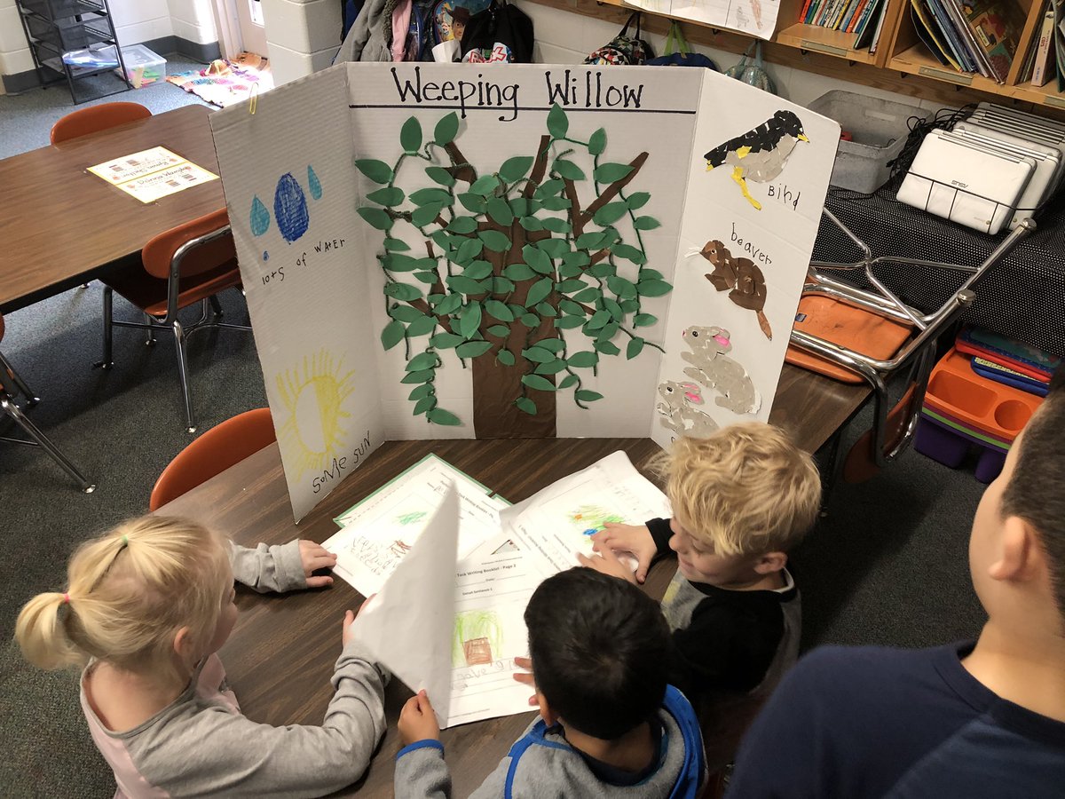 MaloneyLCES's tweet photo. Kindergarten classes presenting their celebration of learning on trees and how they help us. https://t.co/RXcOEk7a7Z