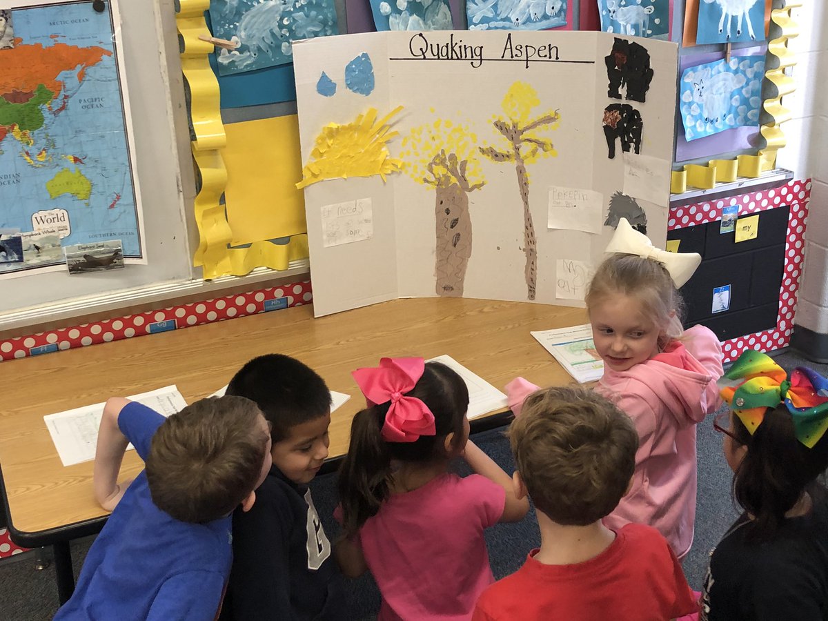 MaloneyLCES's tweet photo. Kindergarten classes presenting their celebration of learning on trees and how they help us. https://t.co/RXcOEk7a7Z