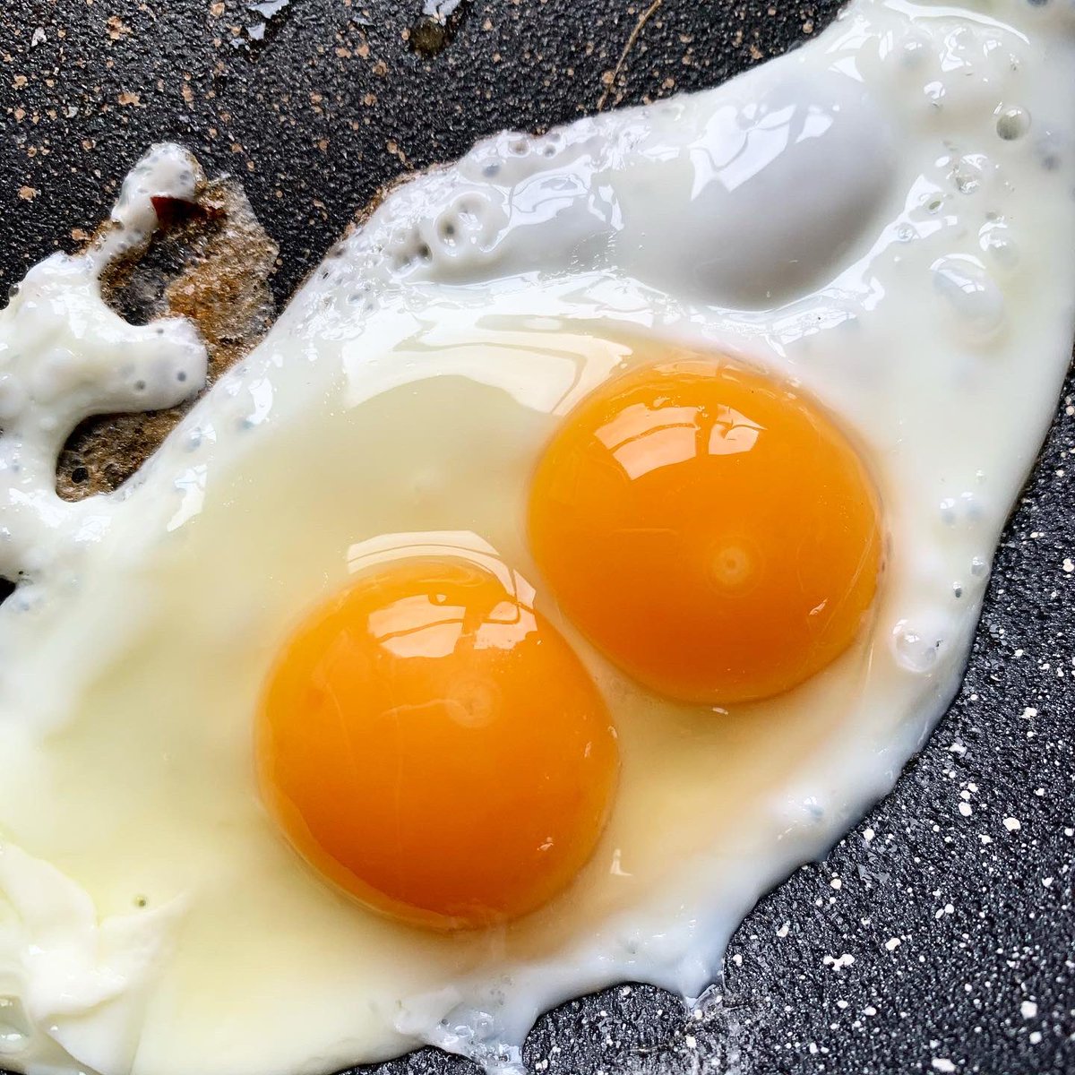 cavickhousefarm's tweet photo. Our pullet eggs are here! The first eggs laid by our young hens known as pullets. Tiny, nutritious & only available for a month or so. Look out for the double yokers..! #pulleteggs #pullets #freerangeeggs #tinyeggs #eggshed #teamcavick #eatme #friedegg #doubleyoker https://t.co/T3FKXJkLPW