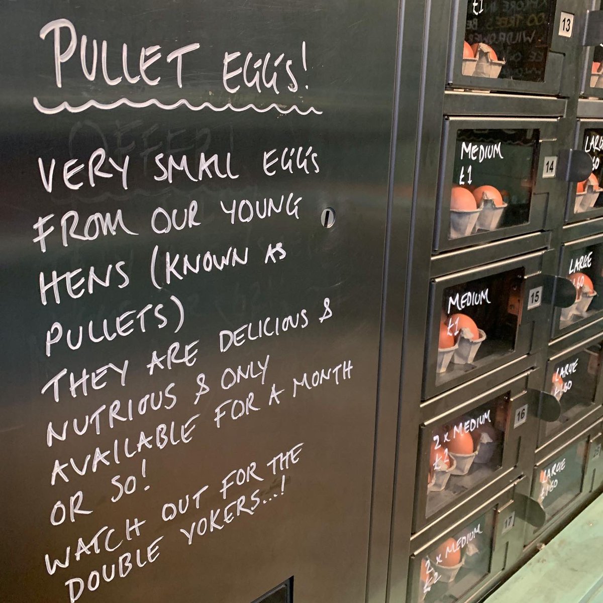 cavickhousefarm's tweet photo. Our pullet eggs are here! The first eggs laid by our young hens known as pullets. Tiny, nutritious & only available for a month or so. Look out for the double yokers..! #pulleteggs #pullets #freerangeeggs #tinyeggs #eggshed #teamcavick #eatme #friedegg #doubleyoker https://t.co/T3FKXJkLPW