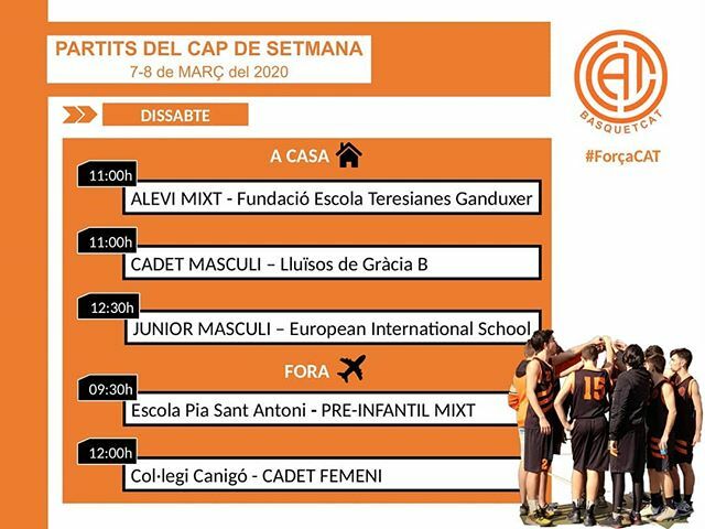 BASQUETCAT tweet media
